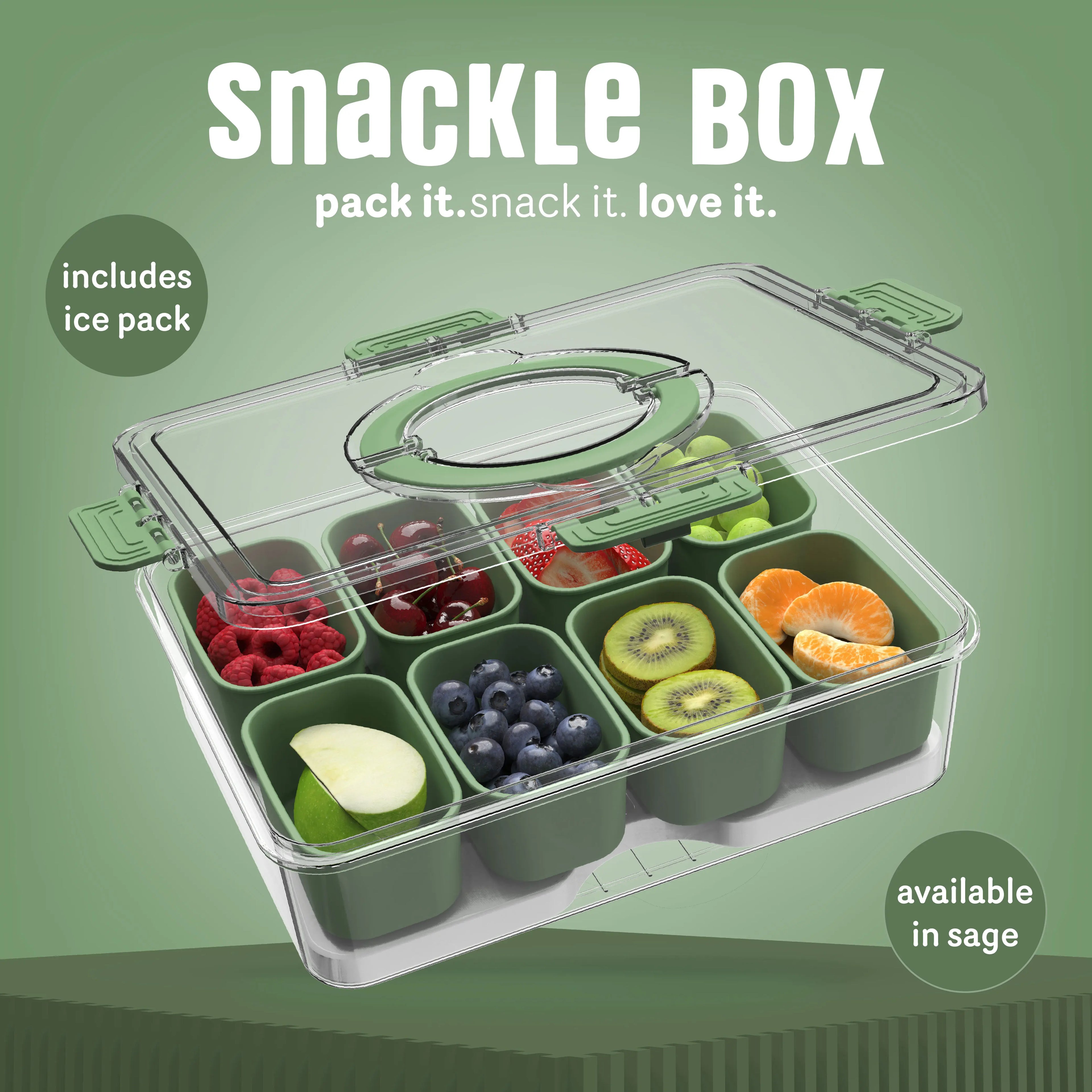 Snack box with ice pack, food storage container