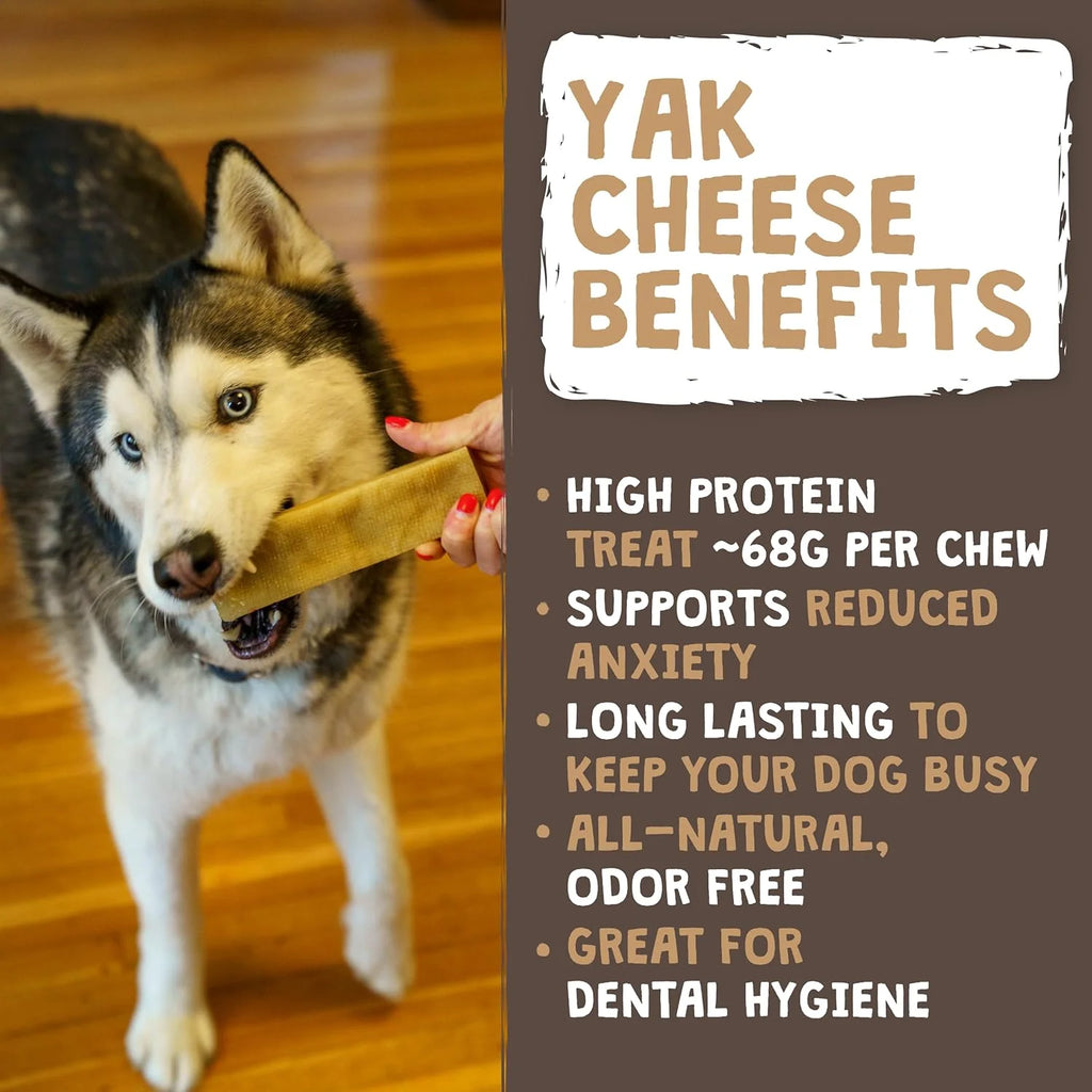 LASTING CHEWS FOR AGGRESSIVE CHEWERS