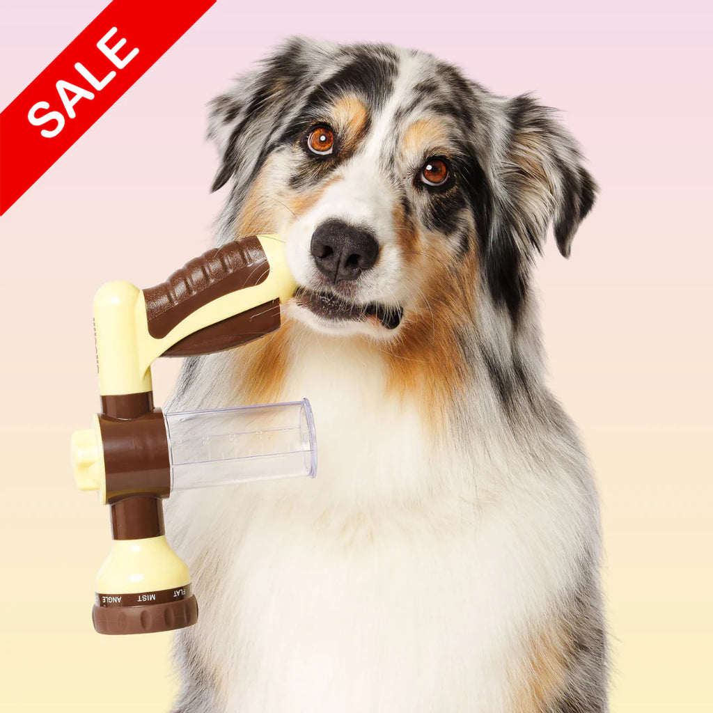 Pet foam water gun