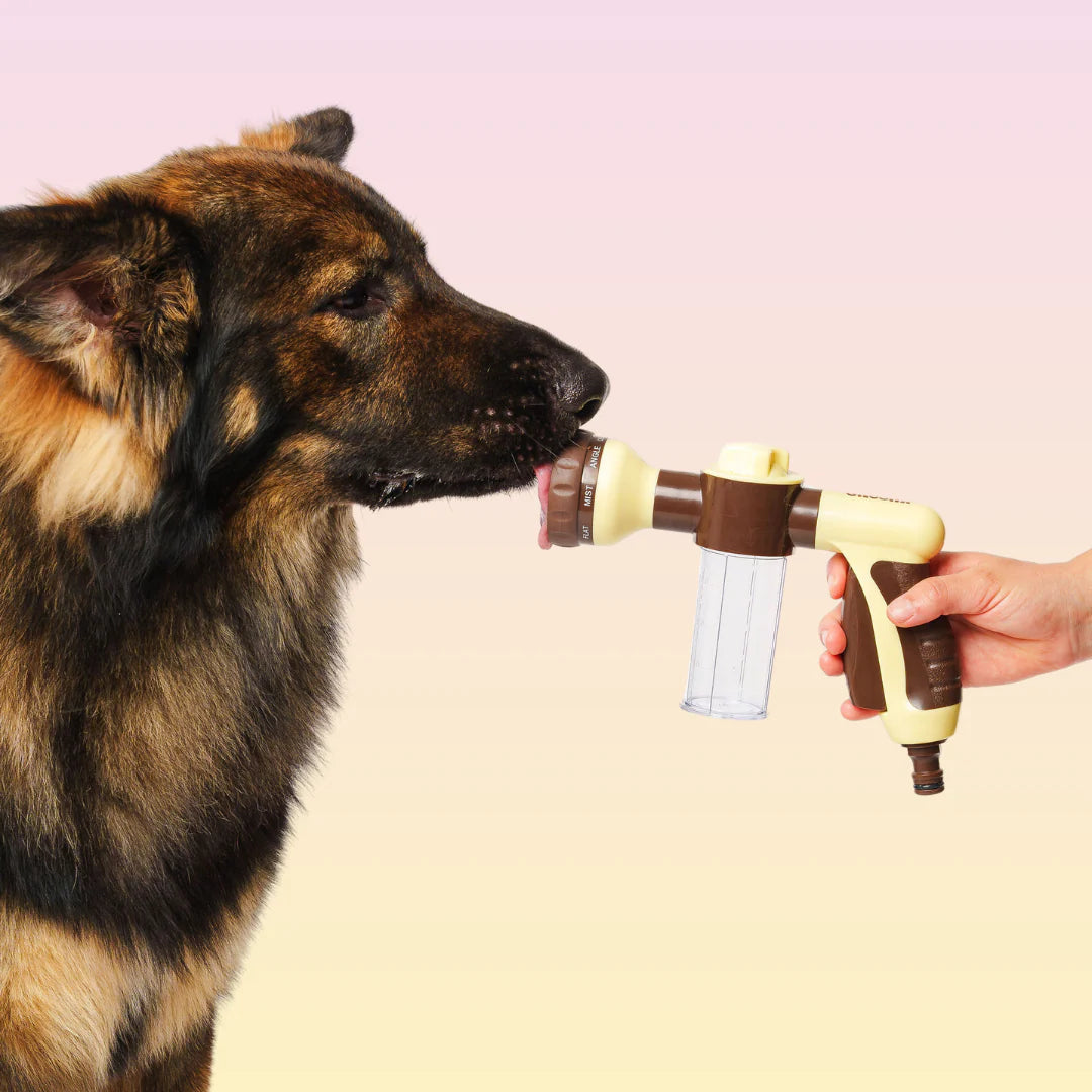 Pet foam water gun