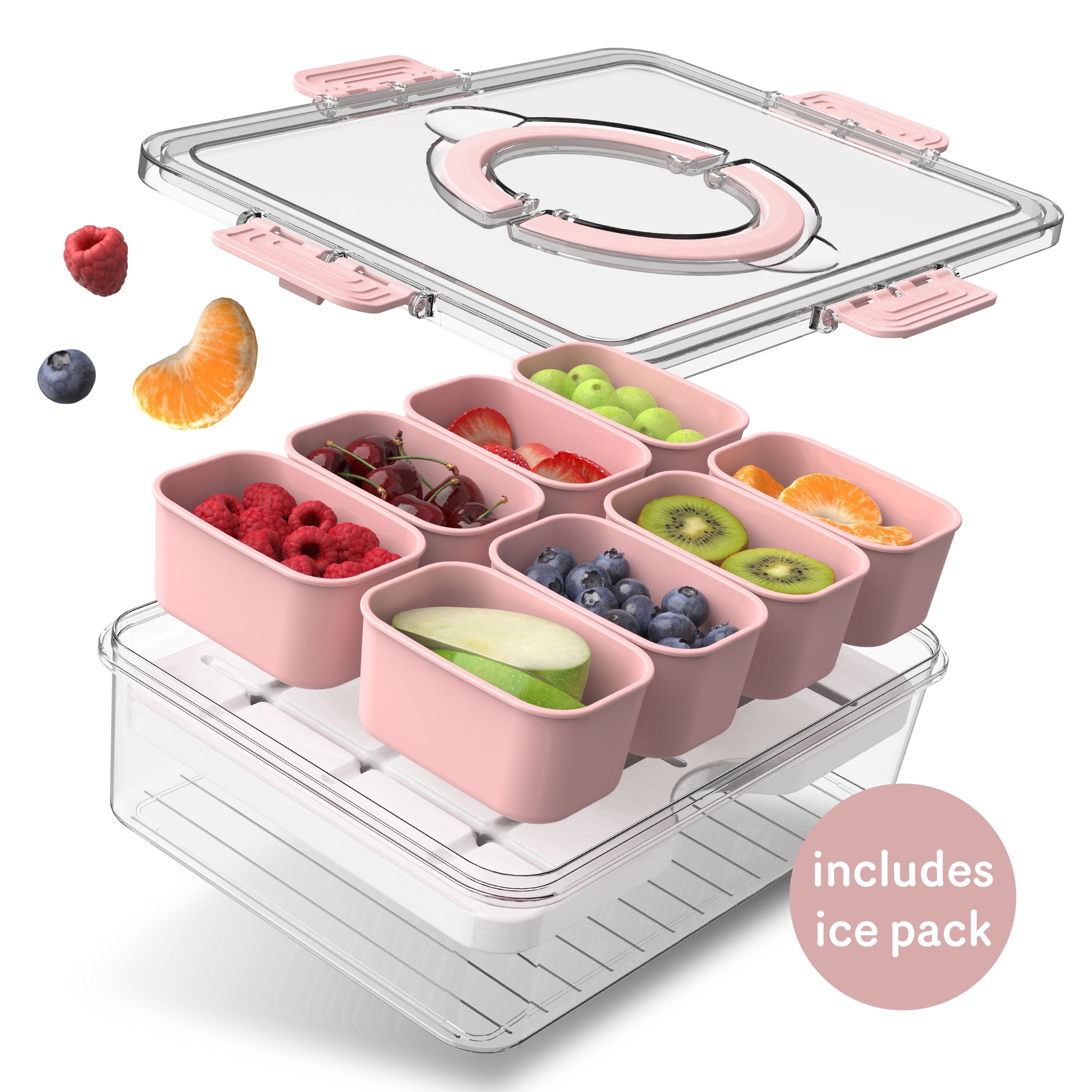 Snack box with ice pack, food storage container