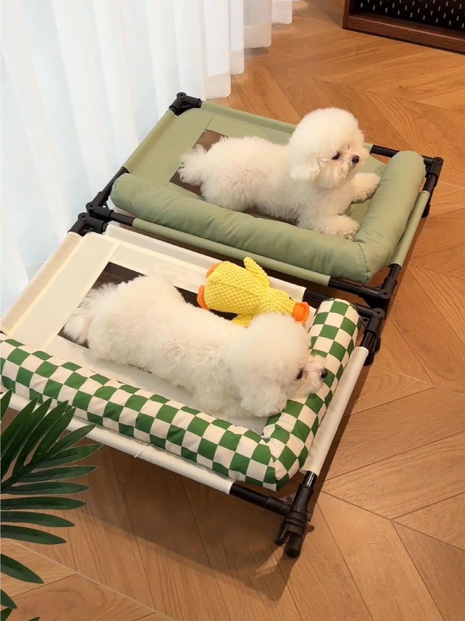Pet high leg cot